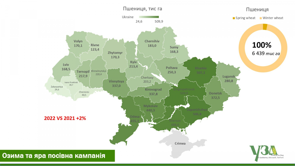 uza_2.jpg